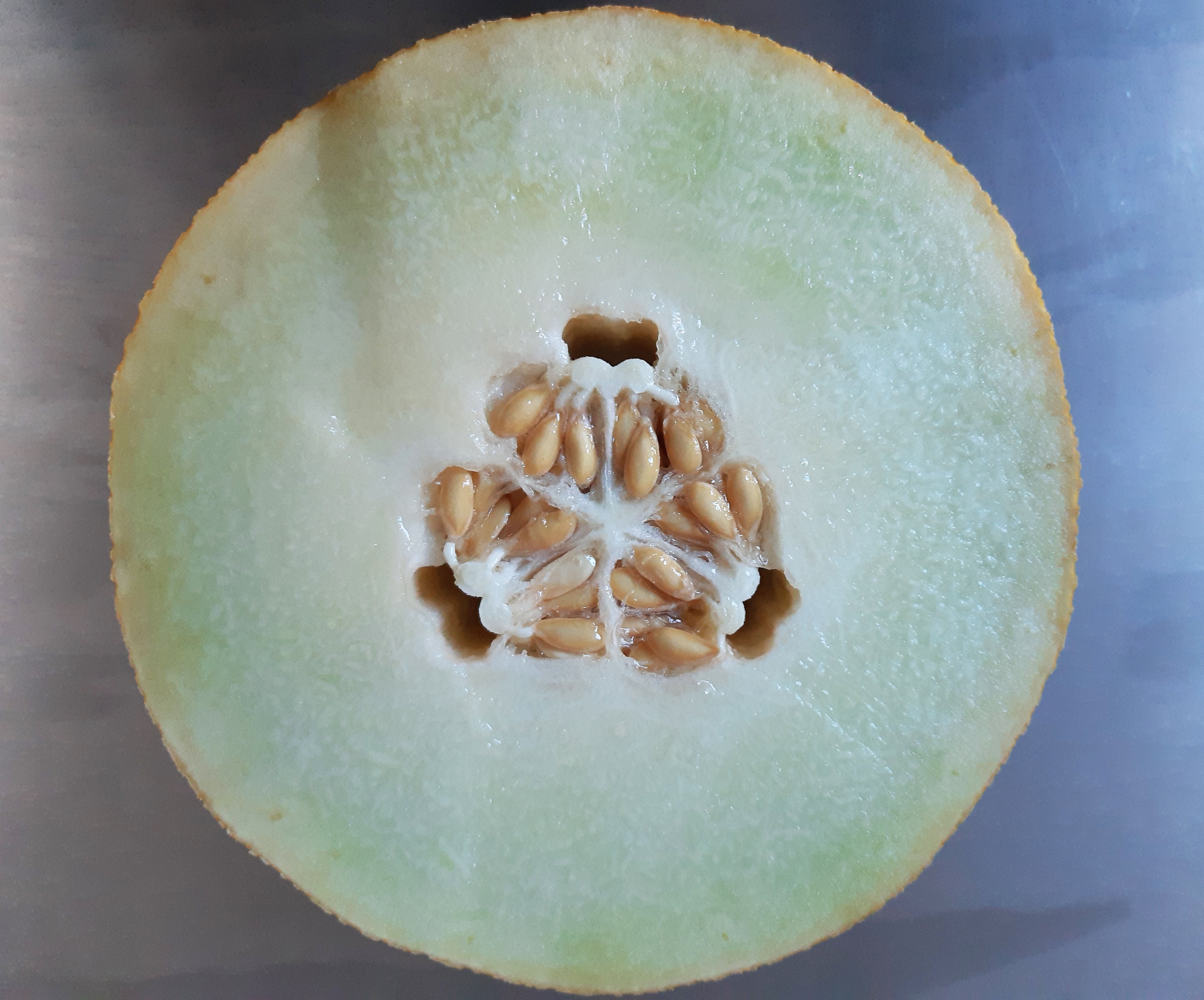 Understanding Fruits The Botanics Shop at Royal Botanic Garden Edinburgh