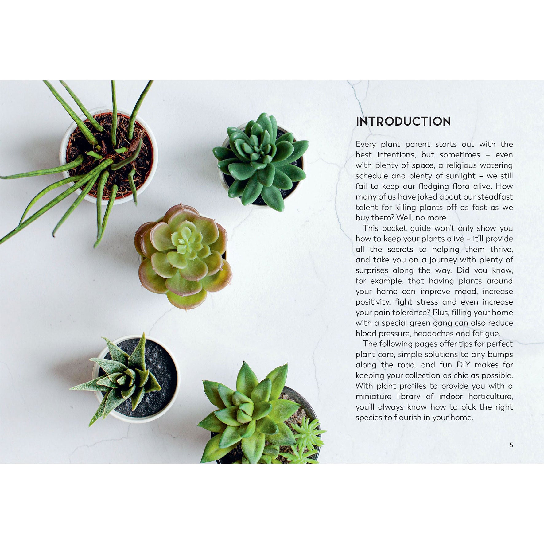 Little Book for Plant Parents