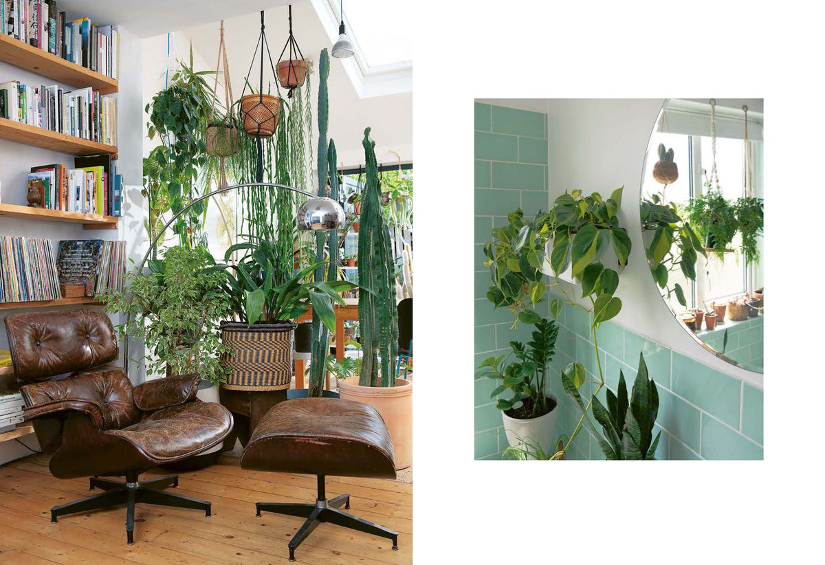 Plant Rescuer