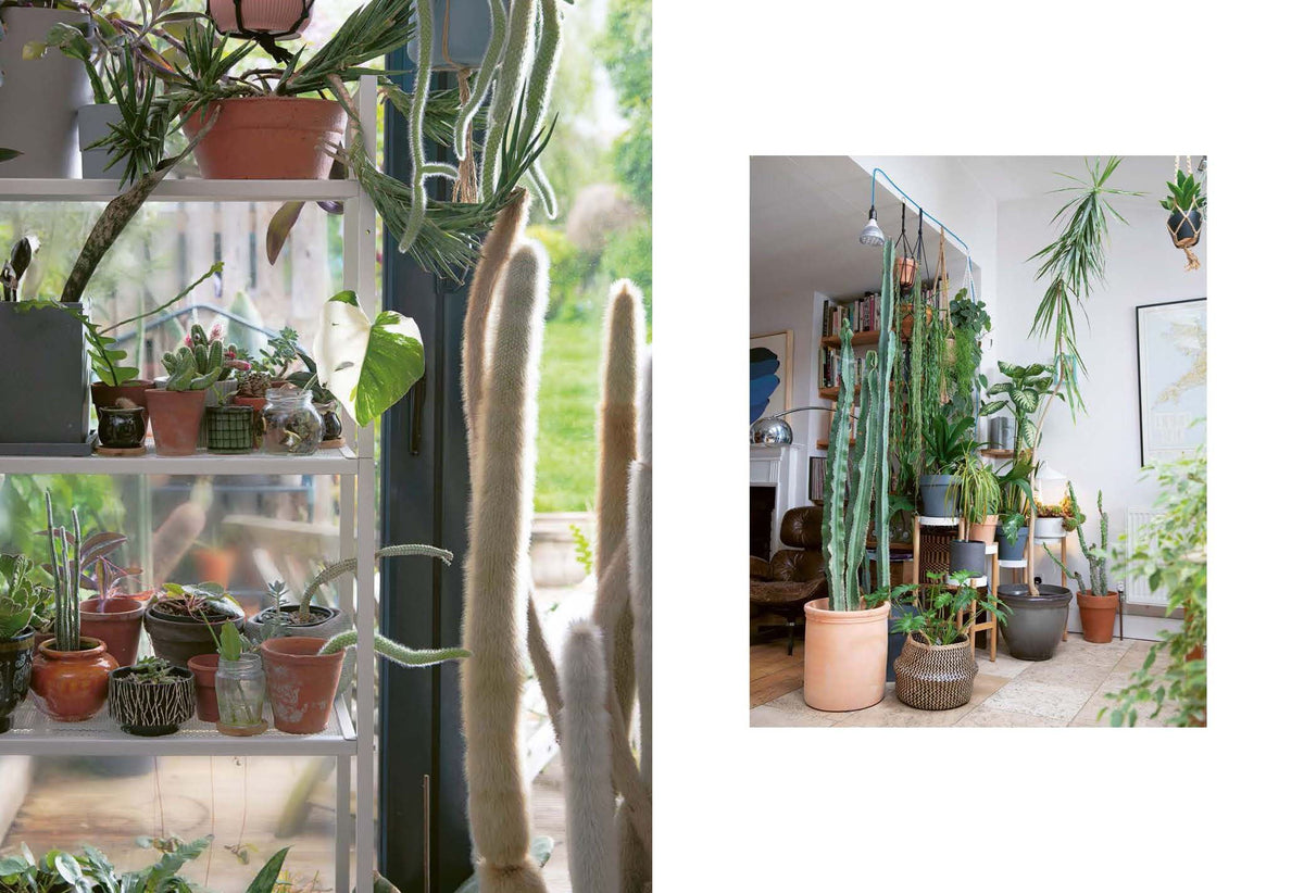 Plant Rescuer