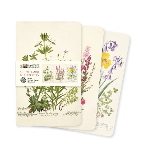 Royal Botanic Garden Edinburgh Set of 3 Midi Notebooks