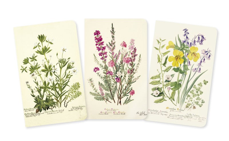 Royal Botanic Garden Edinburgh Set of 3 Midi Notebooks