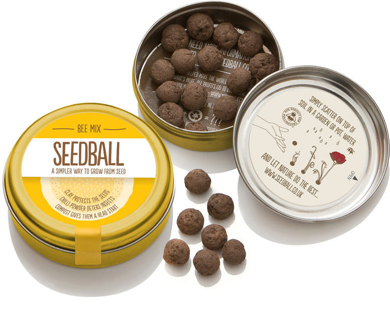 Seedball Tin - Bee Mix