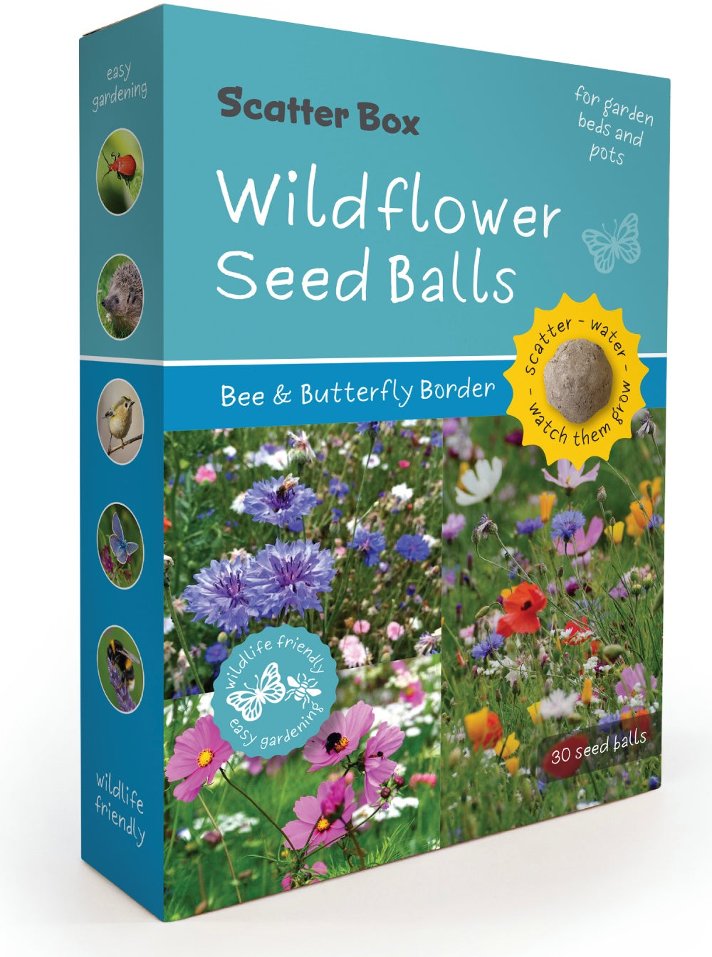 Scatter Box Wildflower Seed Balls - Bee &amp; Butterfly Border
