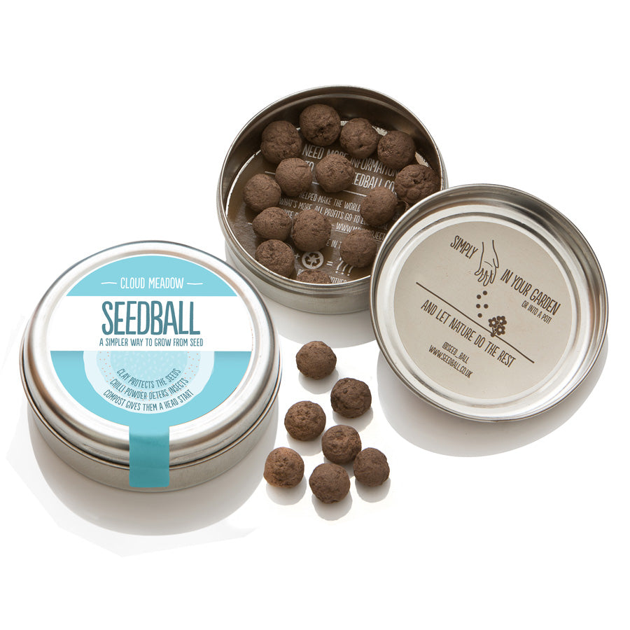 Seedball Tin - Cloud Meadow