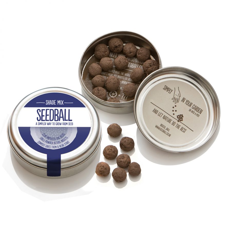 Seedball Tin - Shade Mix