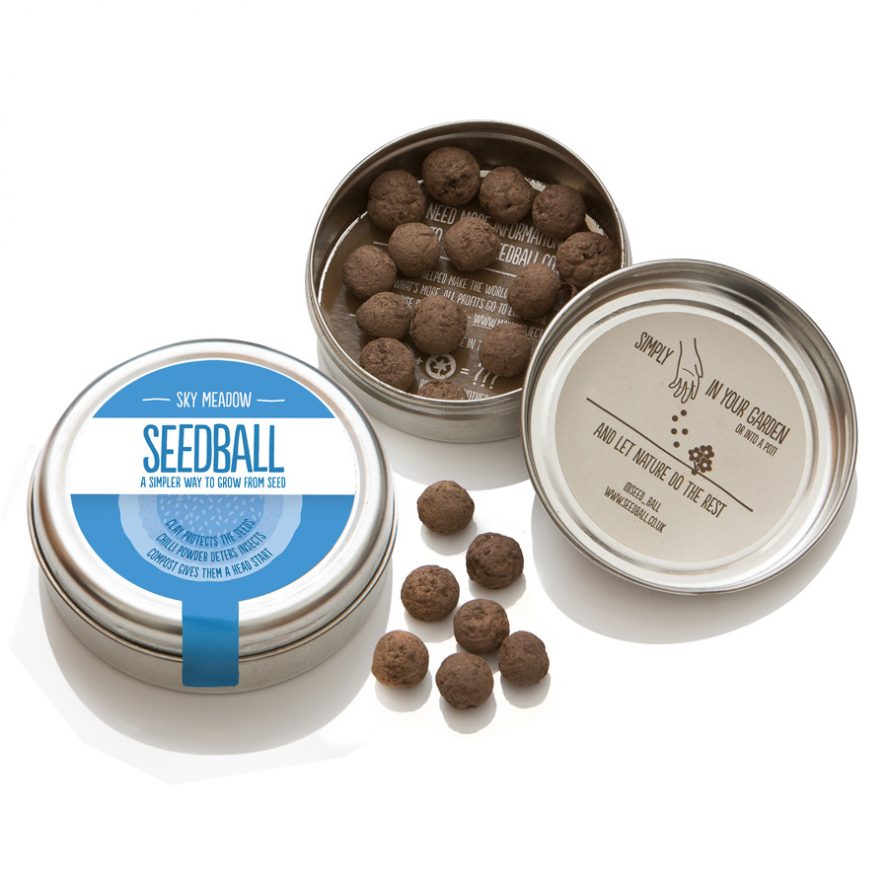 Seedball Tin - Sky Meadow