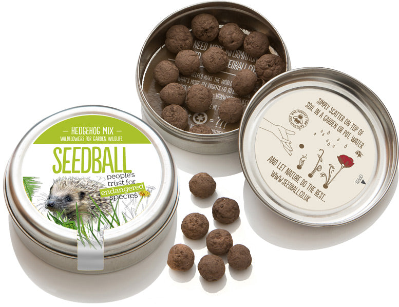 Seedball Tin - Hedgehog Mix
