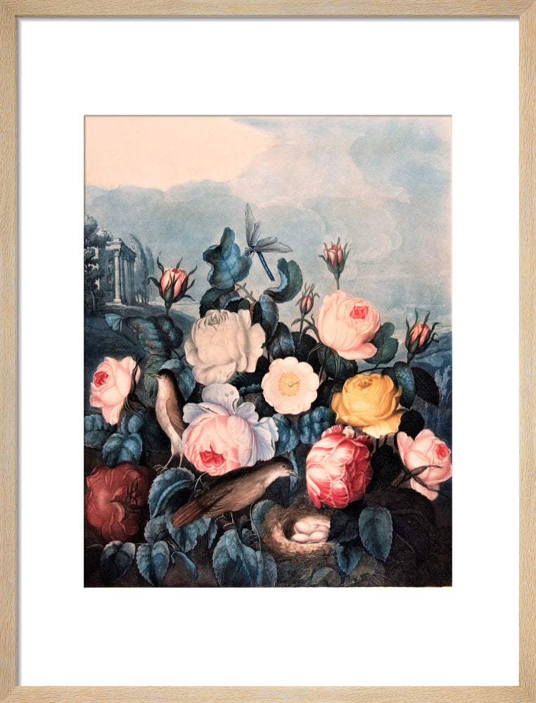 Roses by Robert John Thornton