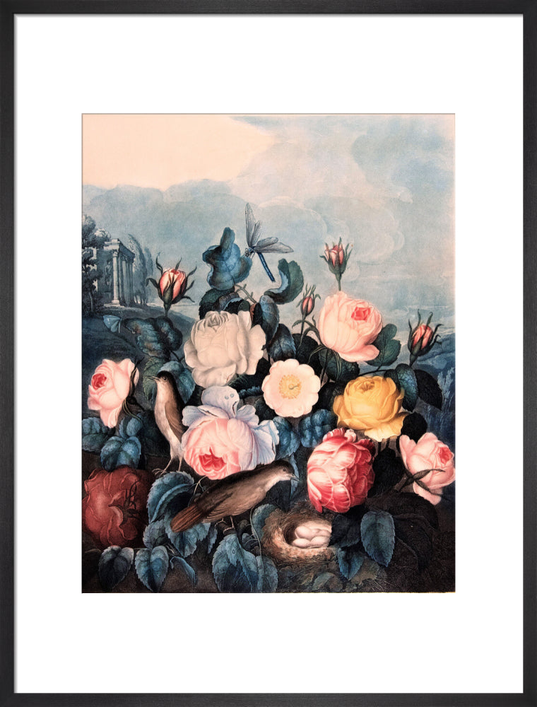 Roses by Robert John Thornton