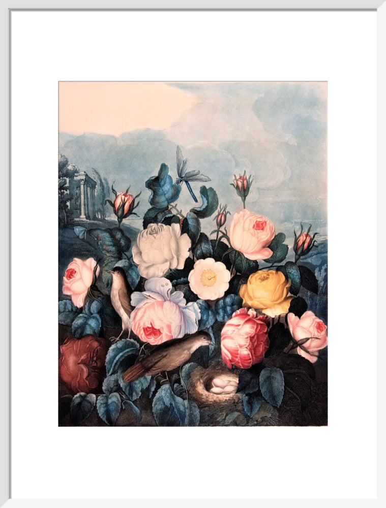 Roses by Robert John Thornton