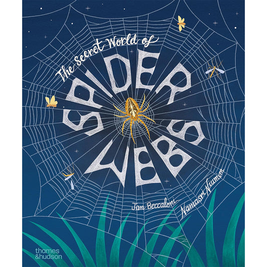 The Secret World of Spider Webs