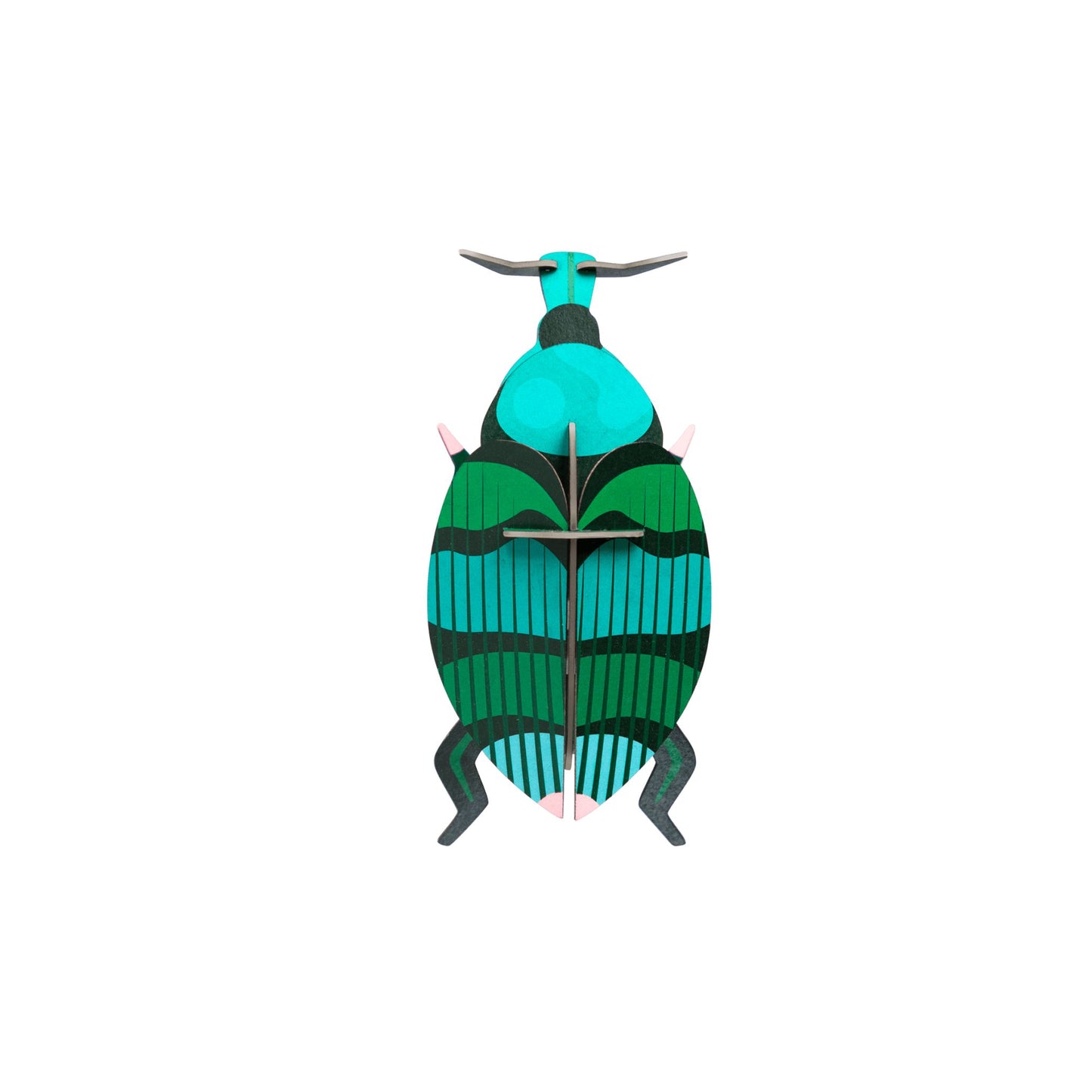 Weevil Beetle Wall Decoration