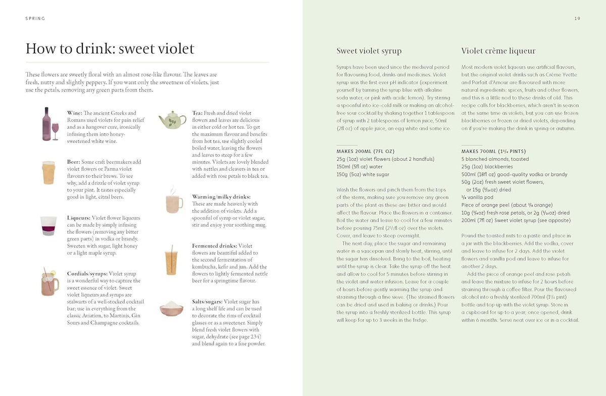 Forager's Guide to Wild Drinks
