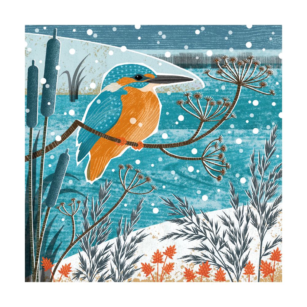 Winter Kingfisher Christmas Cards - Pack of 8