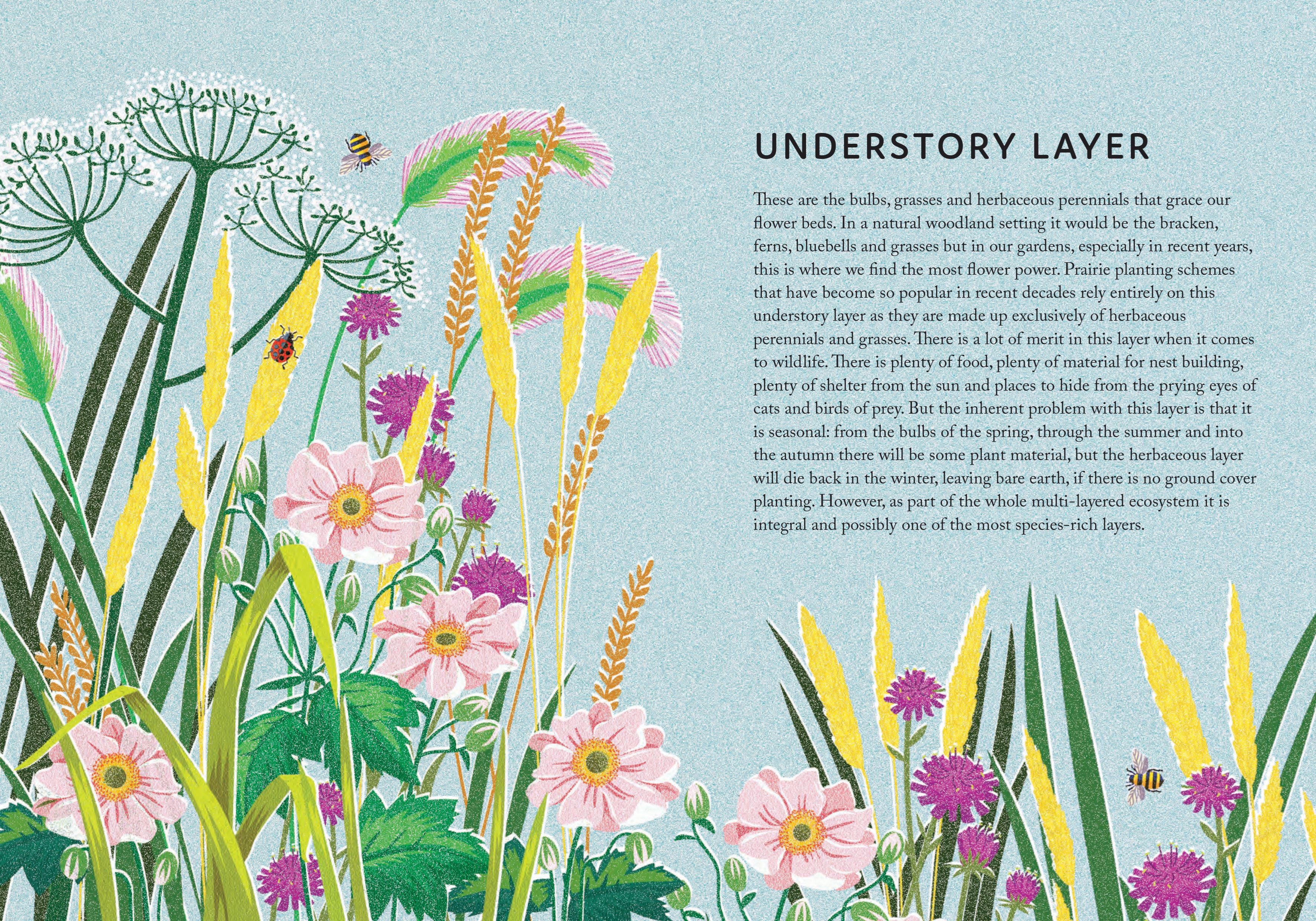 Rewild Your Garden: Create A Haven for Birds, Bees &amp; Butterflies