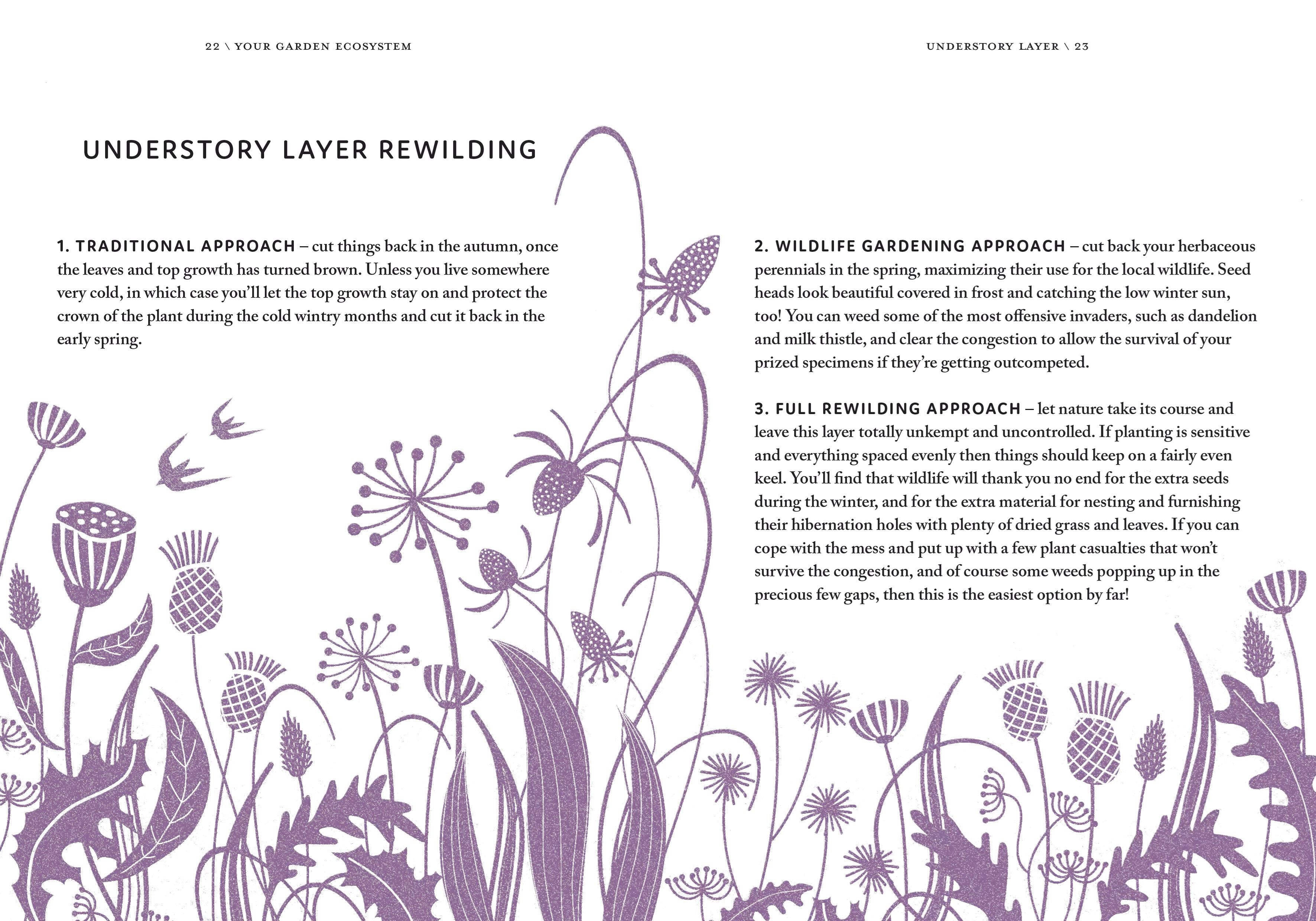 Rewild Your Garden: Create A Haven for Birds, Bees &amp; Butterflies
