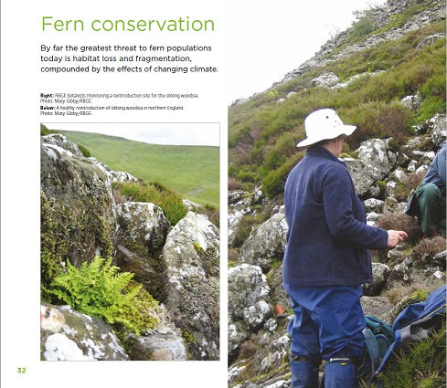 Sample page - Fern conservation