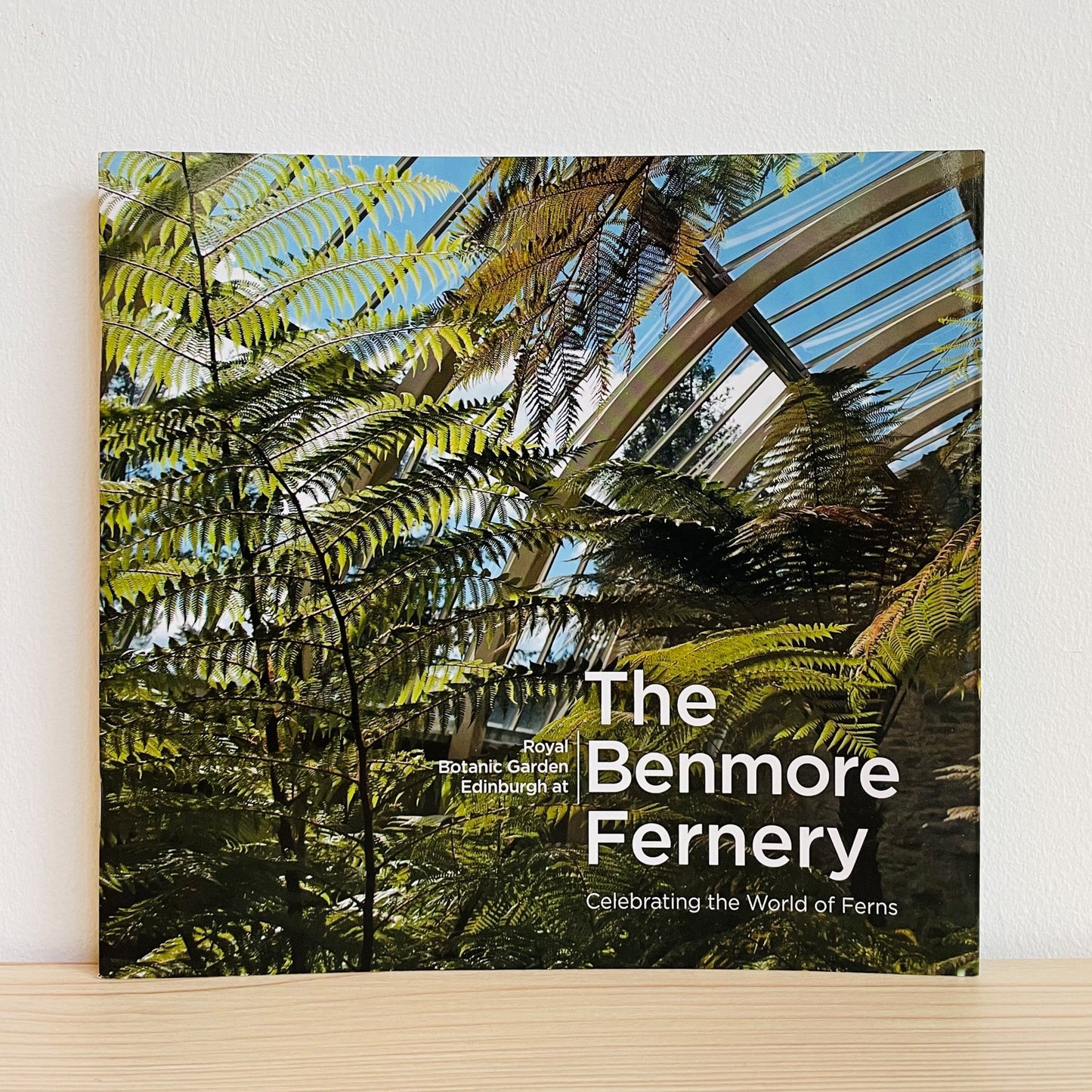 The Benmore Fernery