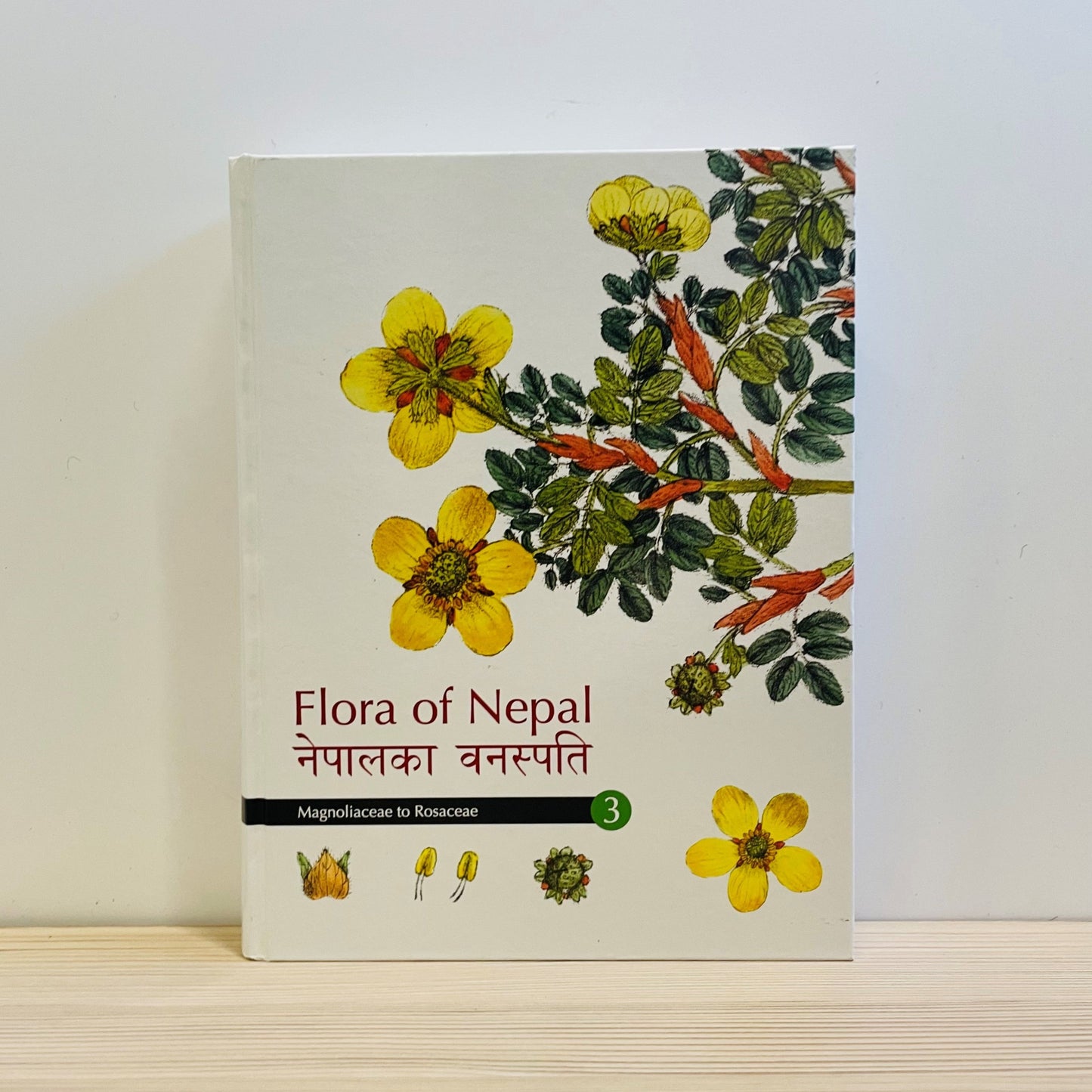 Flora of Nepal Vol. 3