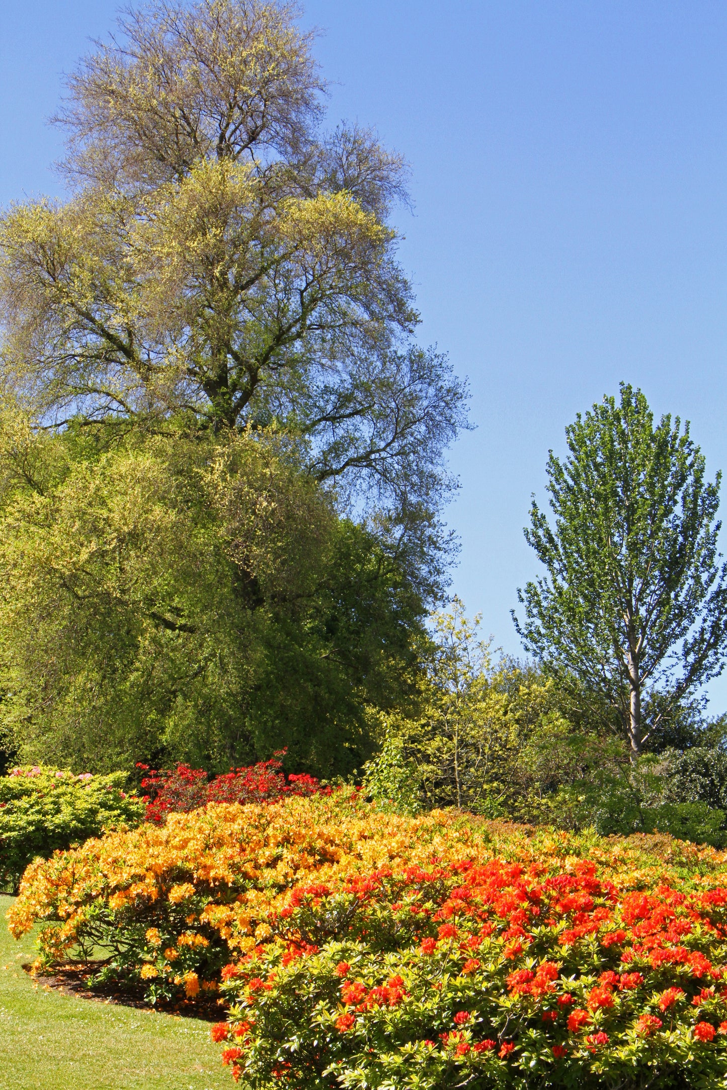 Garden Design for Gardeners - Planting Design