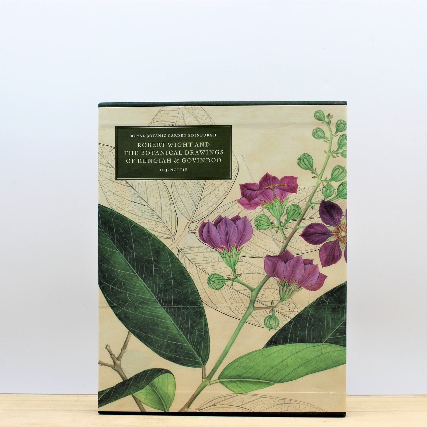 Robert Wight and the Botanical Drawings of Rungiah & Govindoo
