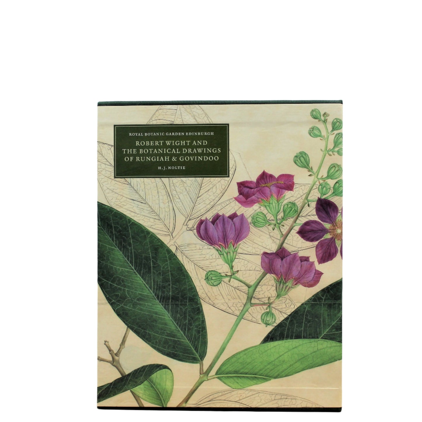 Robert Wight and the Botanical Drawings of Rungiah & Govindoo