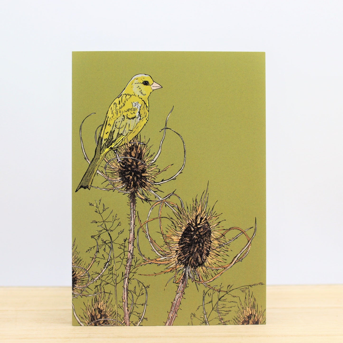 Planting with Nature: 10 Notecard Set