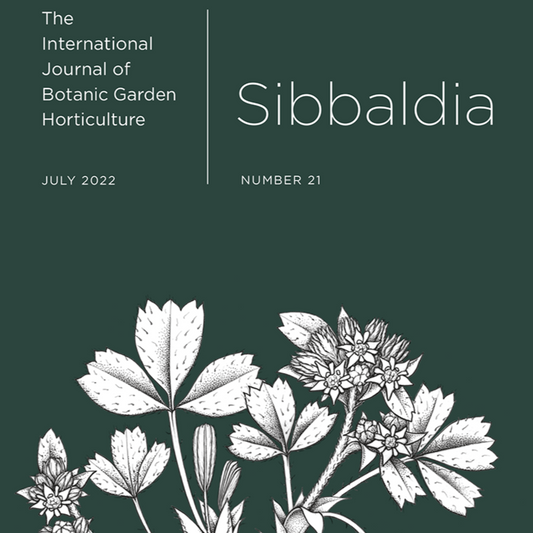 Sibbaldia Number 21