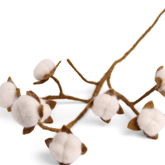 Cotton Branch
