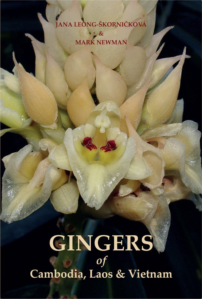 Gingers of Cambodia, Laos and Vietnam