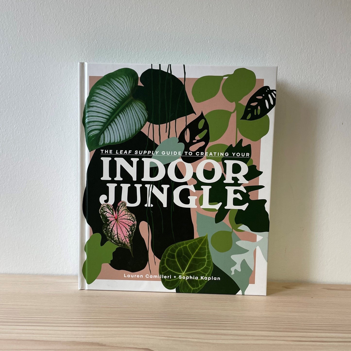 The Leaf Supply Guide to Creating your Indoor Jungle