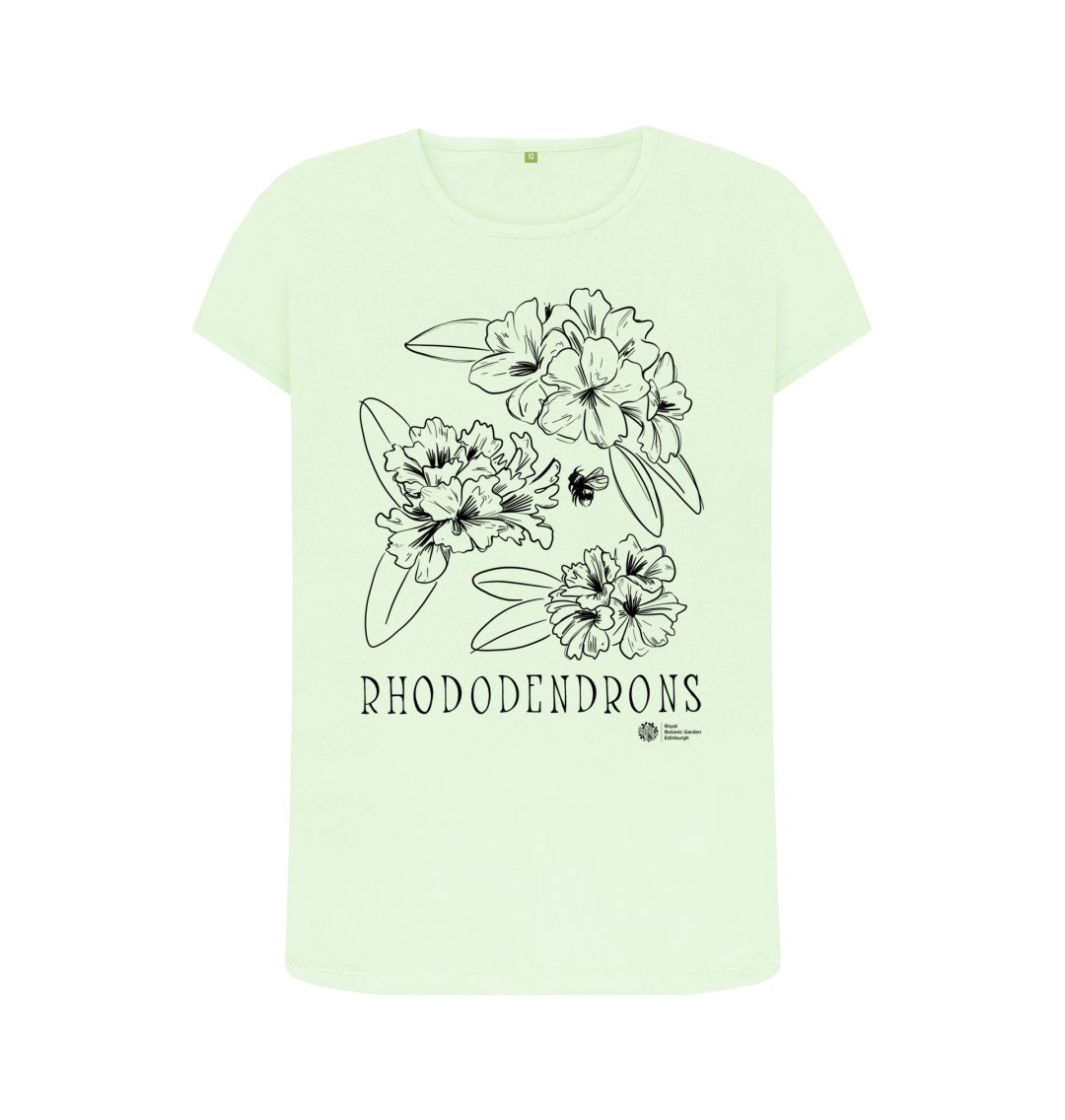 Pastel Green Rhododendrons Top