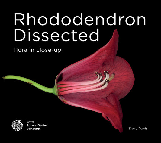 Rhododendron Dissected-Flora in close-up