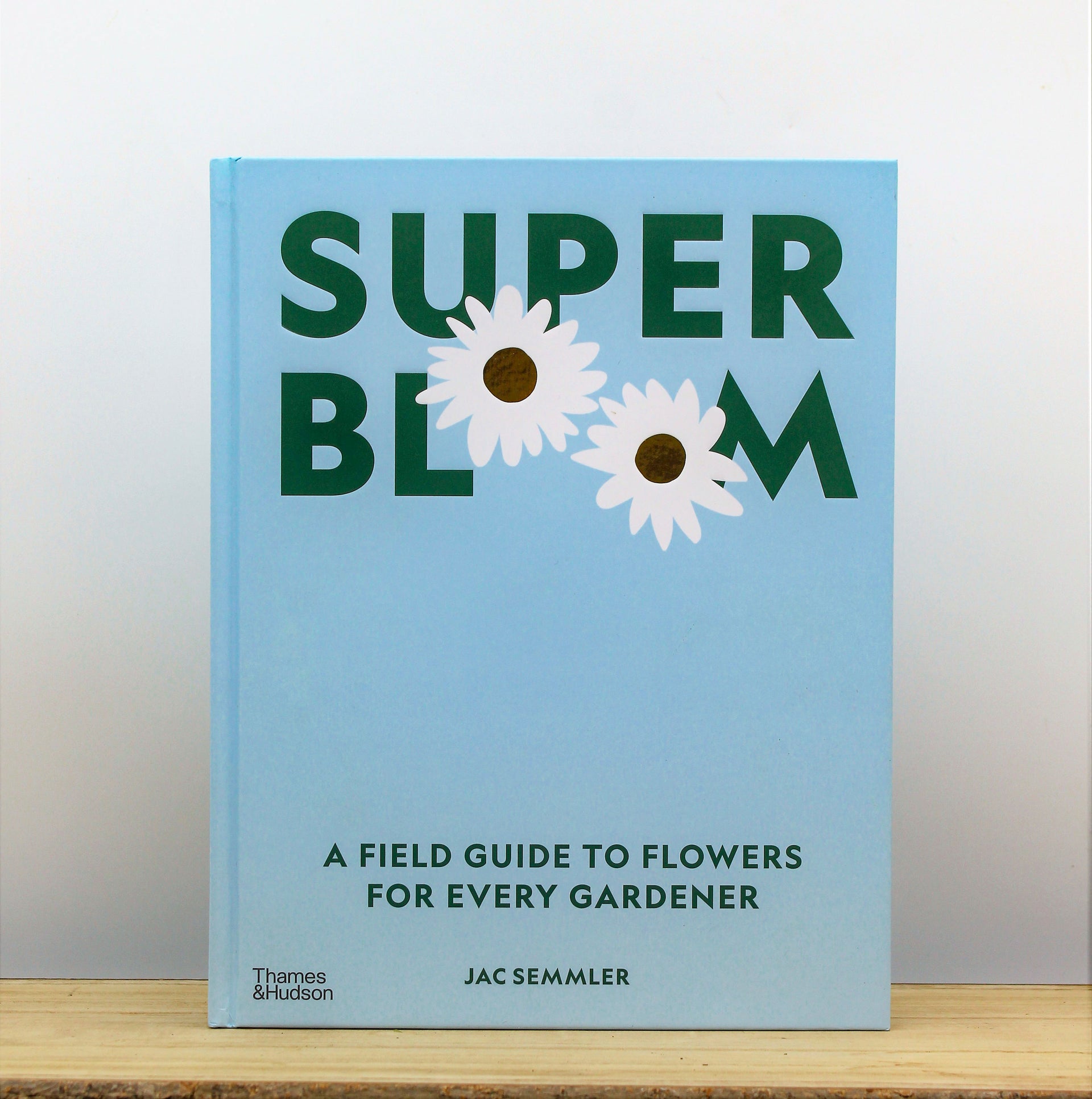 BAN.DO GRAND CAHIER DE NOTES - SUNSHINE SUPER BLOOM