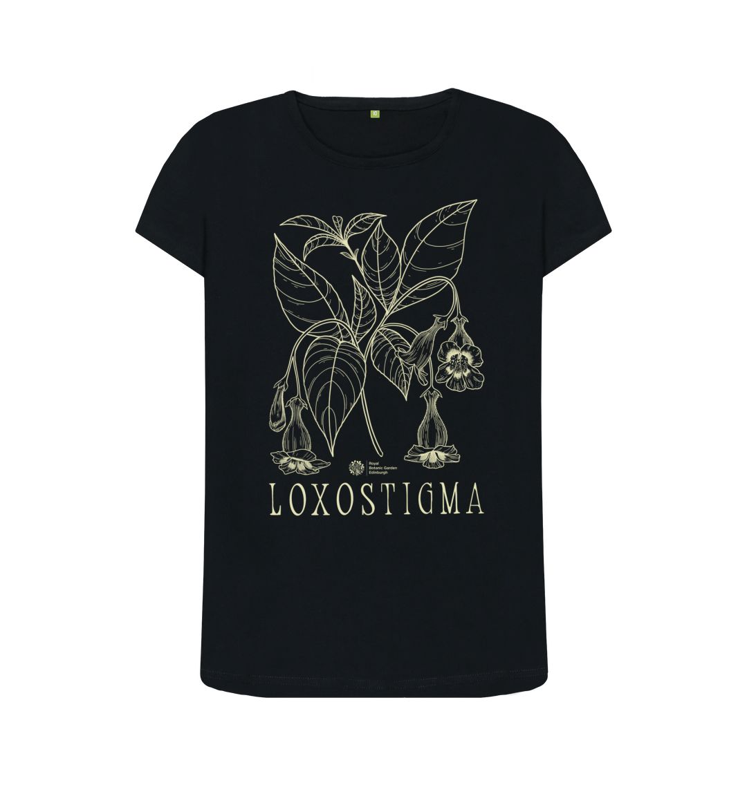Black Loxostingma Top