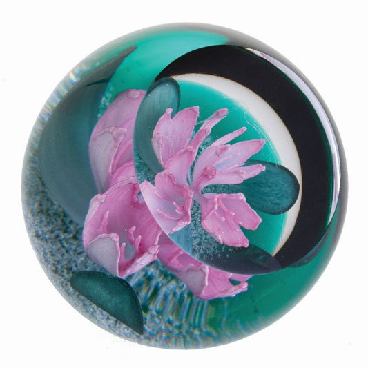 Caithness Glass Paperweight - Rhododendron