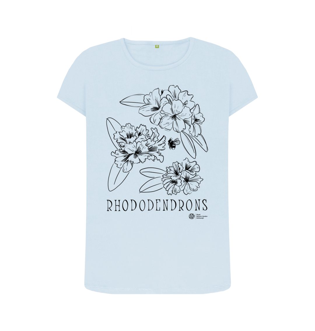 Sky Blue Rhododendrons Top