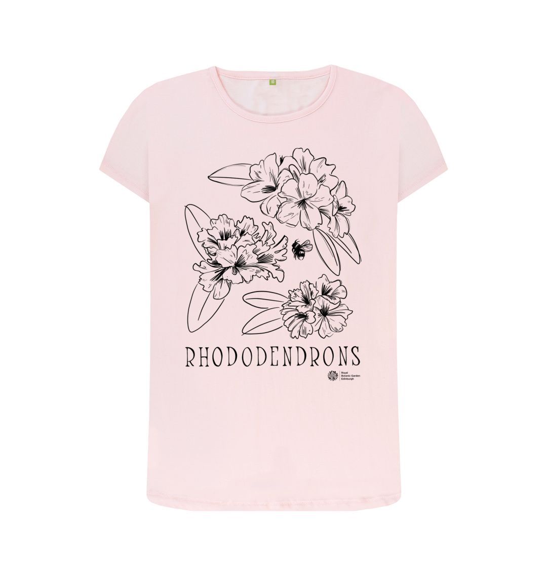 Pink Rhododendrons Top